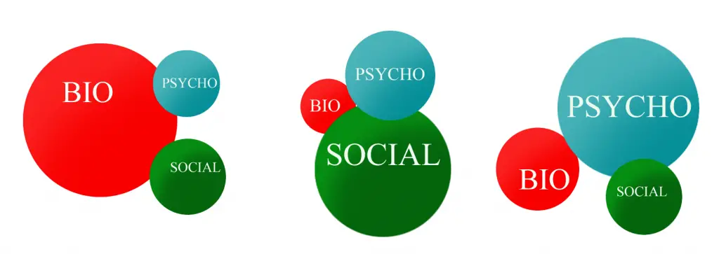 revisiting-the-biopsychosocial-model-of-pain-for-massage-therapists