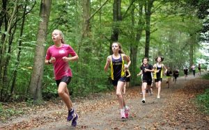 running knee hip osteoarthritis