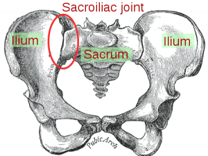 sacroiliac joint pain
