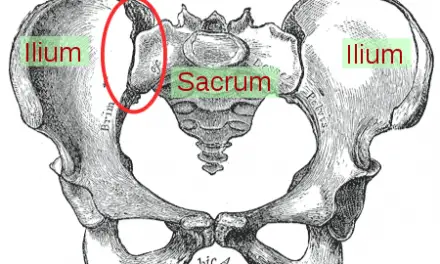 Clearing the Myths Behind Sacroiliac Joint Pain (Updated 2021)