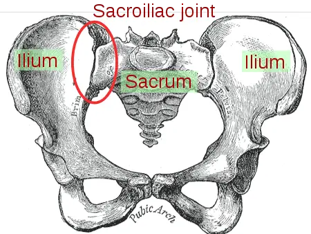 Clearing the Myths Behind Sacroiliac Joint Pain (Updated 2021)
