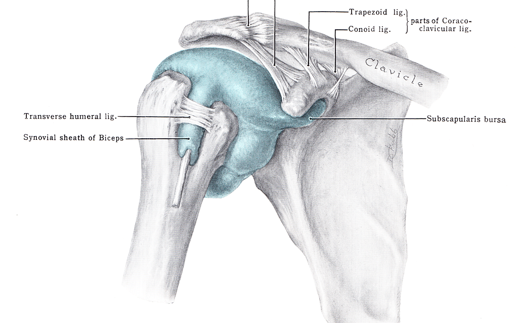 What Is a SLAP Tear and Do You Need Surgery?