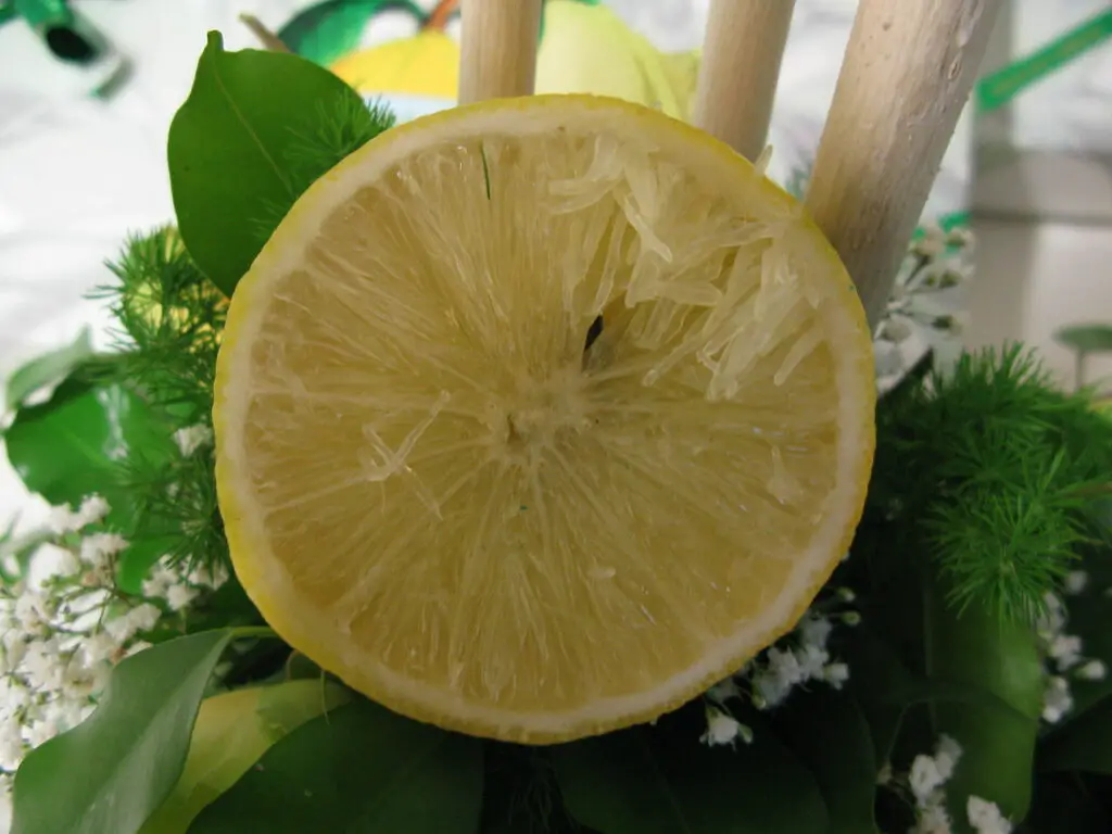 bergamot fruit