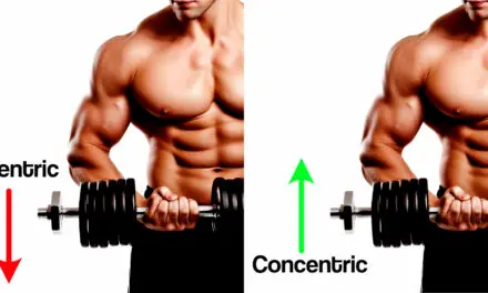 Is Concentric or Eccentric Contraction Better for Bigger Muscles?